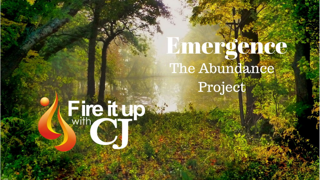 Emergence: The Abundance Project