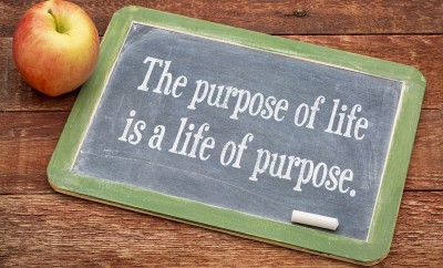 How to find your purpose?